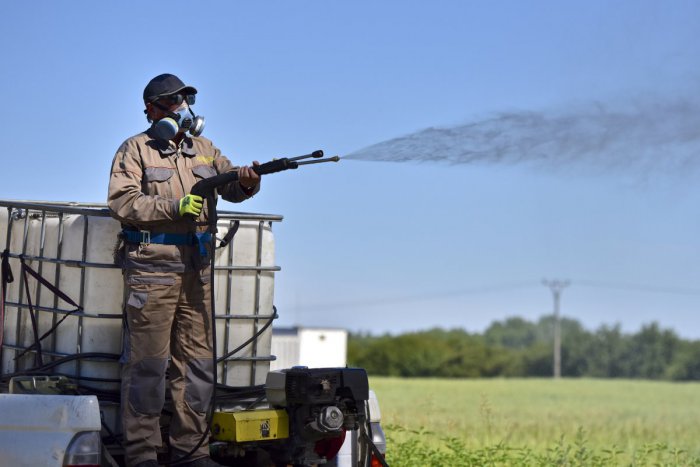 Ilustračný obrázok k článku Proti burine ekologickejšími alternatívami: Kraj stopol používanie glyfosátov