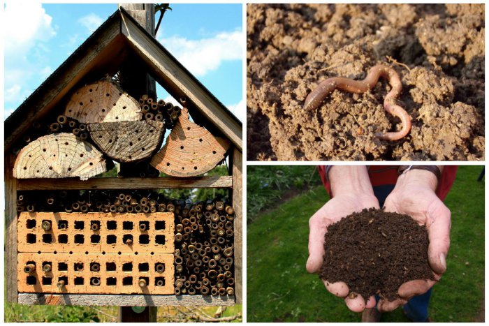 Ilustračný obrázok k článku Ako šuštia dážďovky, vonia pôda a rastú semienkoví chlapčekovia?