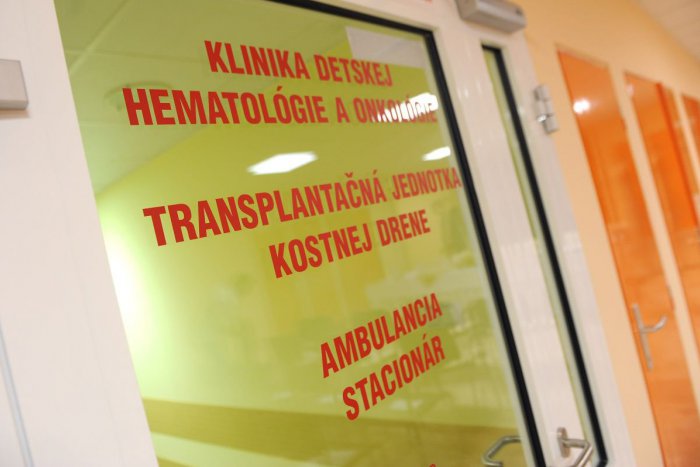 Ilustračný obrázok k článku Skvelá správa! Kostnú dreň chce darovať rekordný počet ľudí