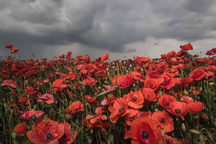 Ilustračný obrázok k článku RANNÁ ŠTVORKA: Sobota bude chladná a zamračená, meniny má Florián