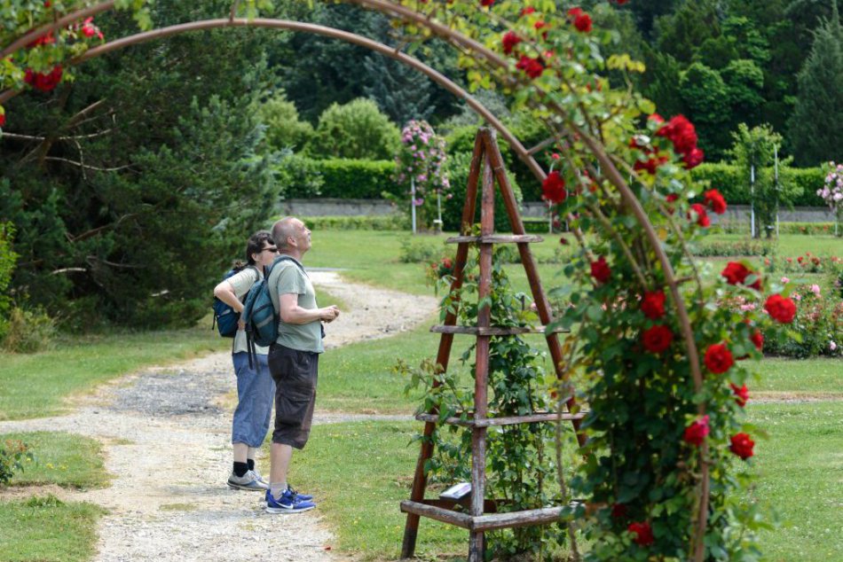 Ilustračný obrázok k článku Lesníci so skvelým nápadom: Nové arborétum budeme mať na skok!