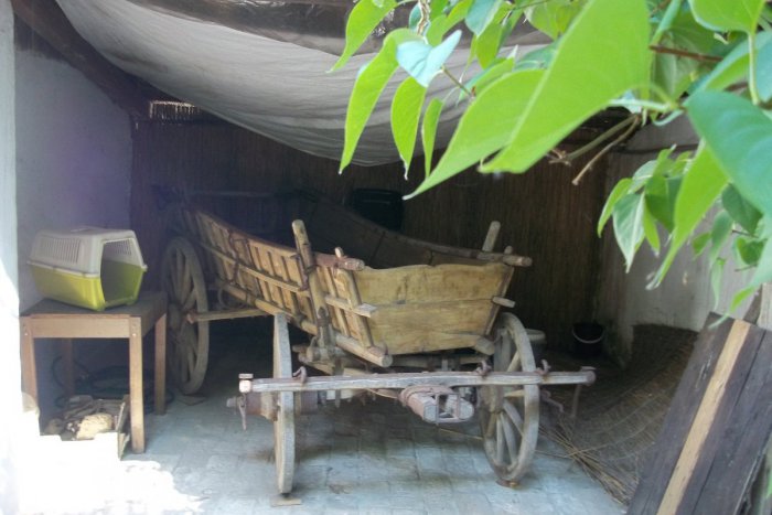 Ilustračný obrázok k článku Šaliansky domček pripravuje prekvapenia: Výstavy, dielničky aj hodové dobrôtky