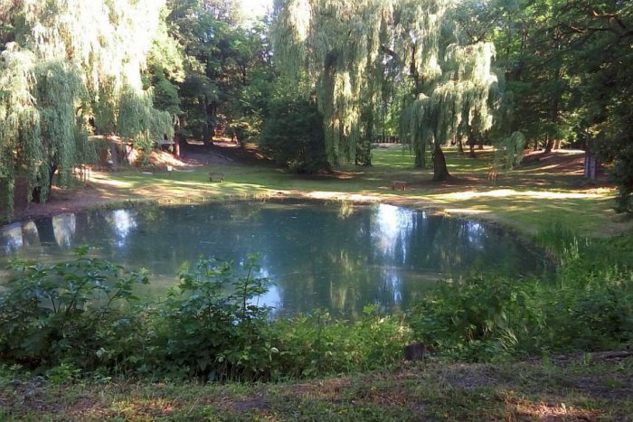 Ilustračný obrázok k článku FOTO: Oáza pokoja na Borovej hore. Poznáte jazierko, ktoré v zime nezamŕza?