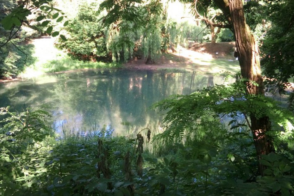 Ilustračný obrázok k článku Borová hora prechádza pod mesto Zvolen. Kotleba však trval na jednej podmienke