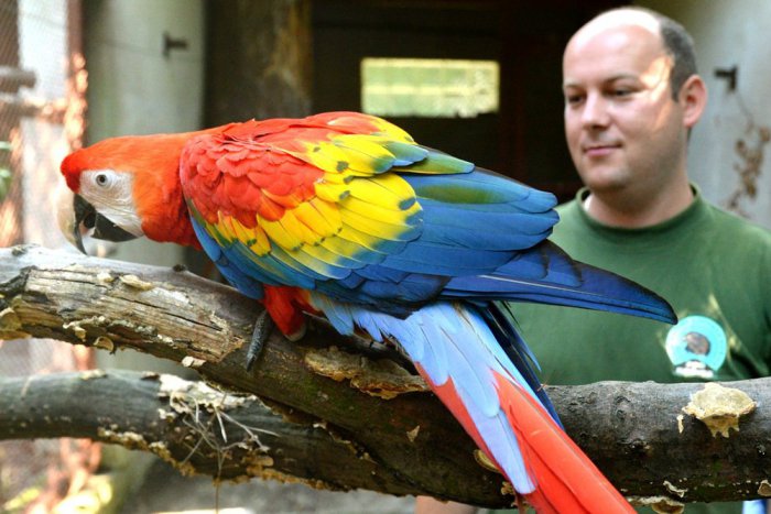 Ilustračný obrázok k článku Rarita v košickej zoo, FOTO: Čím je nový prírastok tak výnimočný?