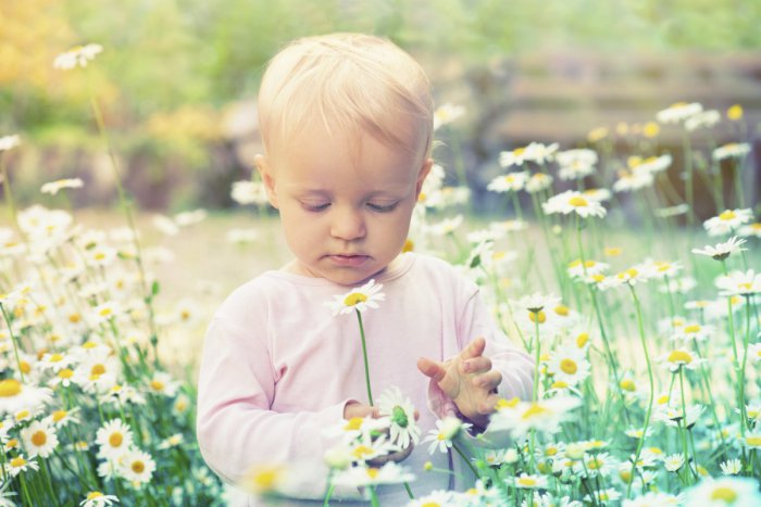 Ilustračný obrázok k článku Aby ste nemali doma alergika: Prevencia u detí sa začína už počas tehotenstva