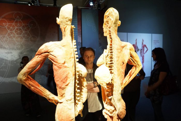 Ilustračný obrázok k článku Do Bratislavy mieri unikátna výstava. Na skutočných ľudských telách ukáže, ako fungujú orgány