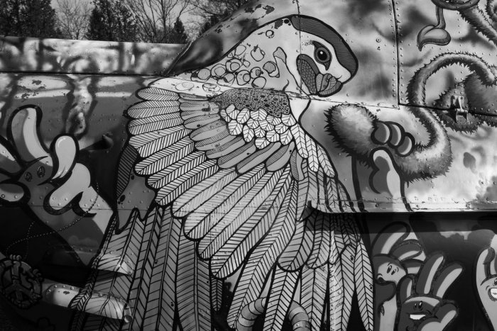 Ilustračný obrázok k článku Fejtón: Papagáj Leonid