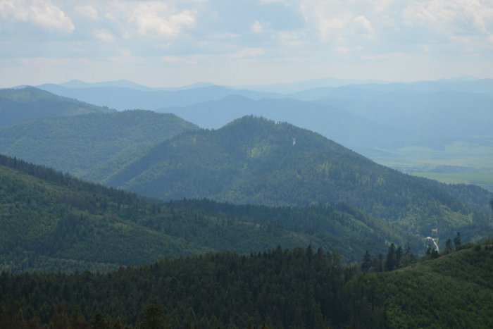 Ilustračný obrázok k článku Lesy v okolí Prešova majú čo ponúknuť: Výlet, na ktorý budete dlho pamätať! FOTO