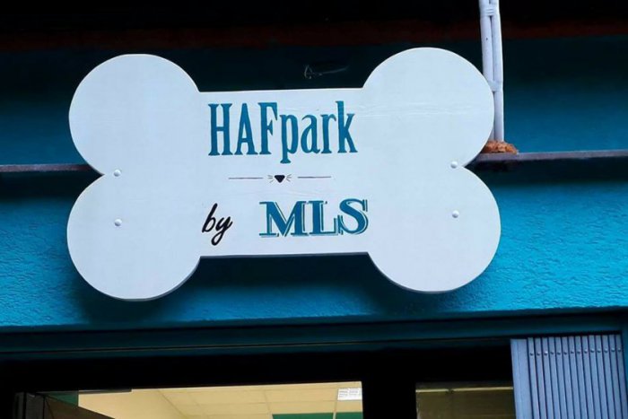 Ilustračný obrázok k článku V Petržalke otvoria HAF.park! Nájdete tu všetko pre chlpáčov aj páničkov