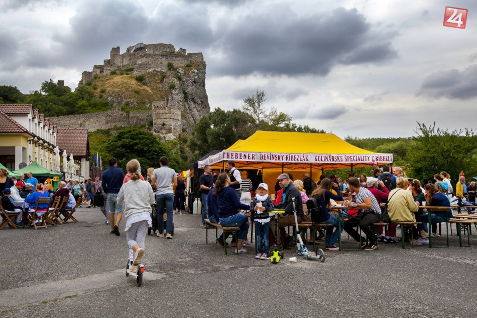 Ilustračný obrázok k článku OBRAZOM: Pod hradom Devín sa niesla vôňa ríbezlí