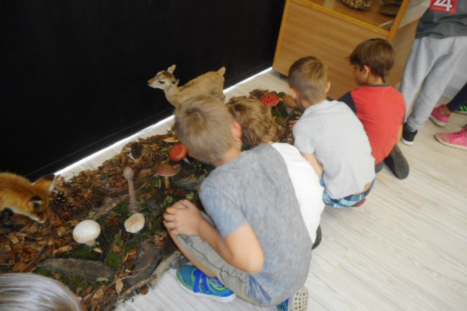 Ilustračný obrázok k článku Múzeum v Považskej s novou výstavou: Cenné informácie zvlášť v lete, FOTO