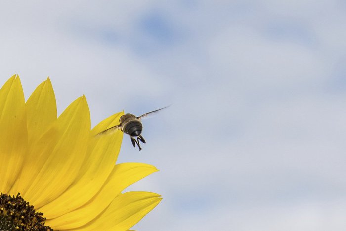 Ilustračný obrázok k článku RANNÁ ŠTVORKA: Teploty budú opäť atakovať 30-tku, meniny má Kamila