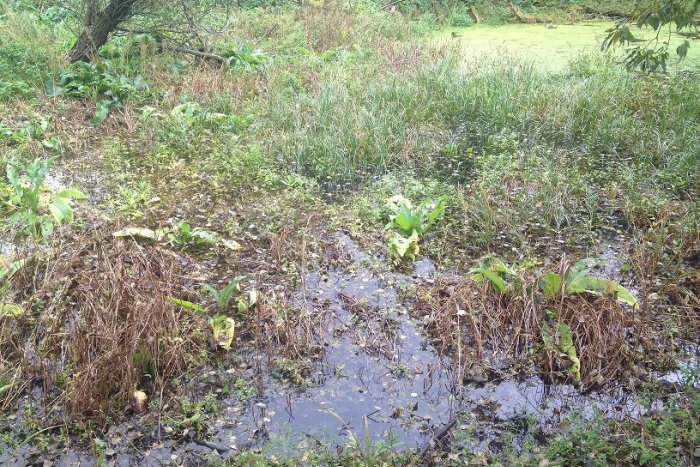 Ilustračný obrázok k článku Náš okres má veľa pamätihodností: Dokonca aj chránené územia