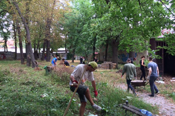 Ilustračný obrázok k článku Iniciatíva mladých pre krajšie Nové Zámky: Vyčistenie parku je iba začiatok