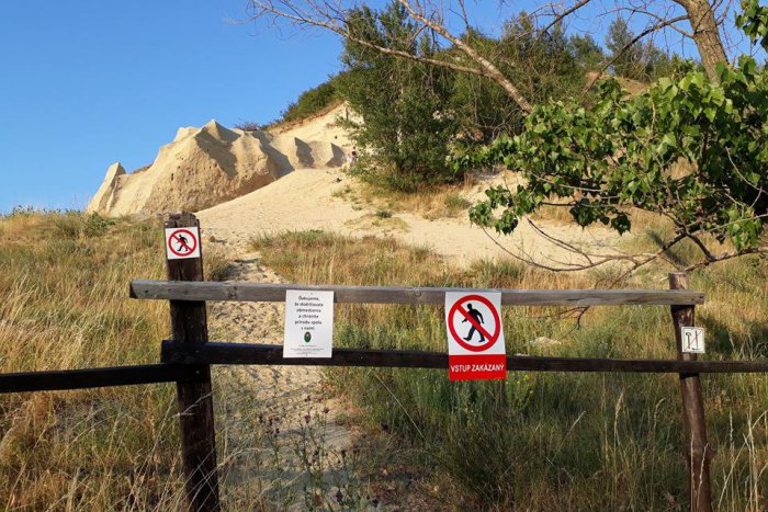 Ilustračný obrázok k článku Sandberg sa nám stráca pred očami. Pomôže chránenej lokalite drevená závora?