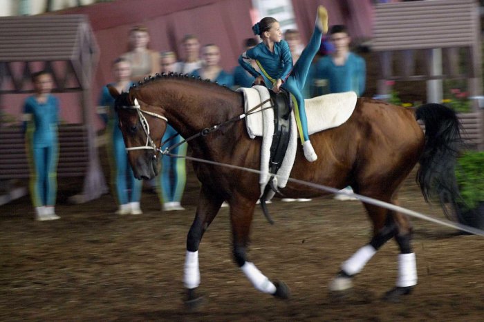 Ilustračný obrázok k článku Šalianski voltižéri bodovali: Čakajú ich ďalšie preteky