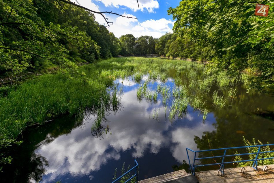 Ilustračný obrázok k článku Mestské lesy rozdelia do zón, vzniknú rozsiahle oblasti bez ťažby