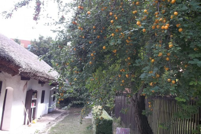 Ilustračný obrázok k článku FOTO: V domčeku je nová výstava, uvidíte zaujímavé exponáty