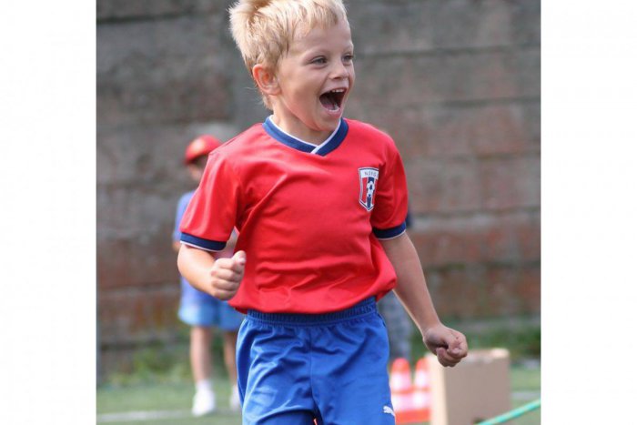 Ilustračný obrázok k článku 13-ka Partizána bronzová