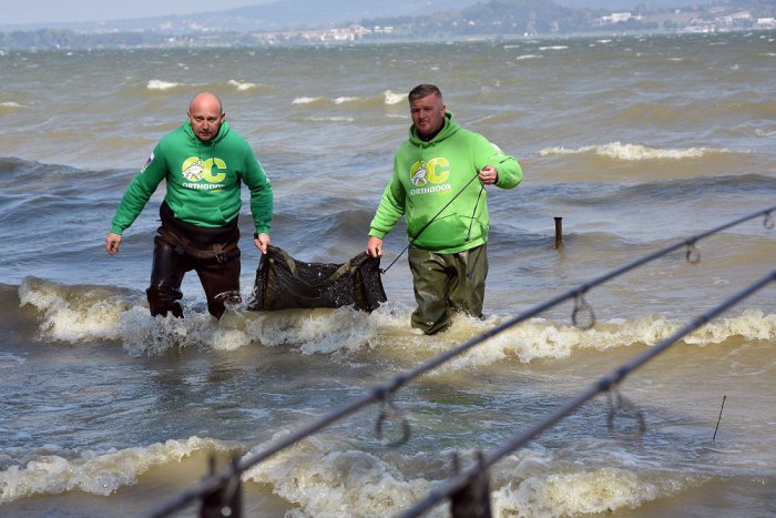 Ilustračný obrázok k článku Chystá sa veľký súboj rybárov: Na Šírave budú loviť najväčšieho kapra