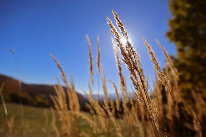 Ilustračný obrázok k článku Leto je minulosťou: V piatok začína jeseň