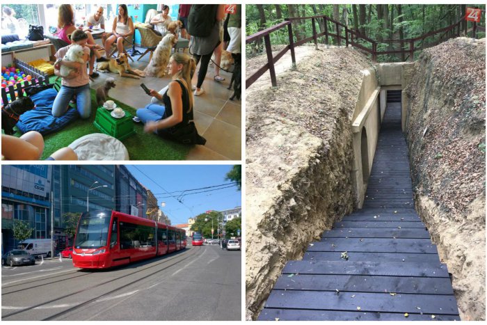 Ilustračný obrázok k článku TOP UDALOSTI týždňa: Bunker nad Klepáčom, ponuka mäsa v meste aj nové centrum pre psíkov a mačičky