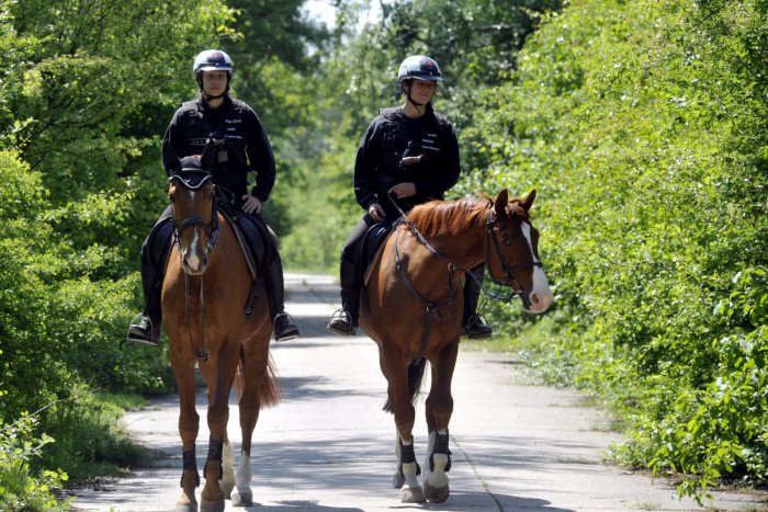 Ilustračný obrázok k článku Na Slovensku by mala vzniknúť Prírodná polícia
