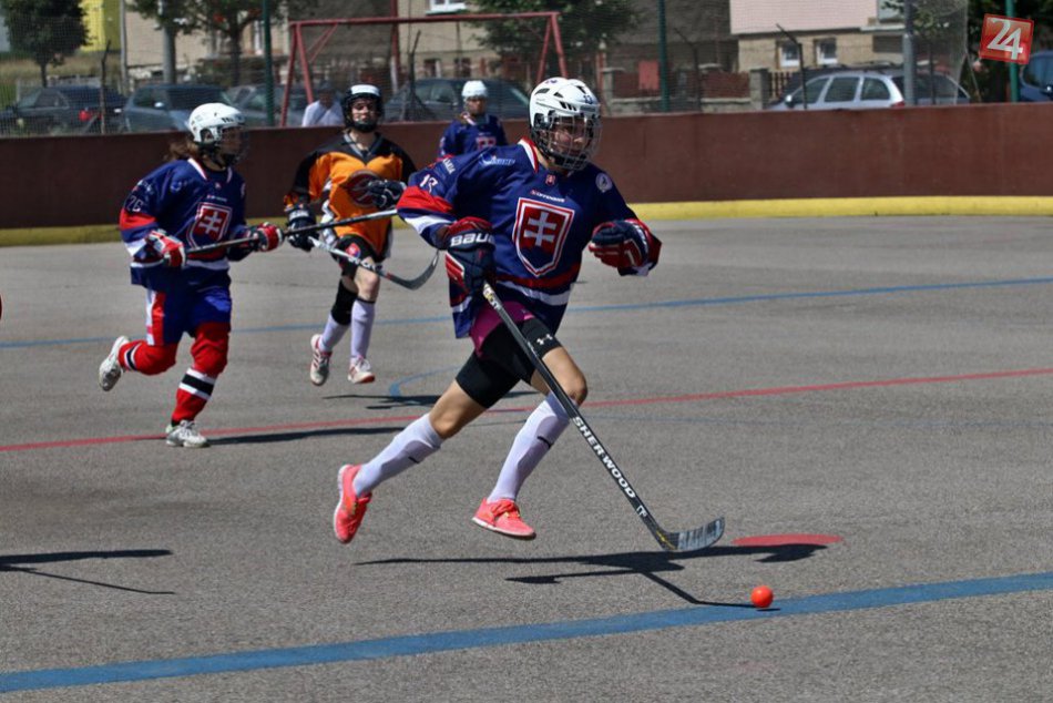 Ilustračný obrázok k článku Výstavba hokejbalovej haly: Krajskí poslanci schválili združenú investíciu