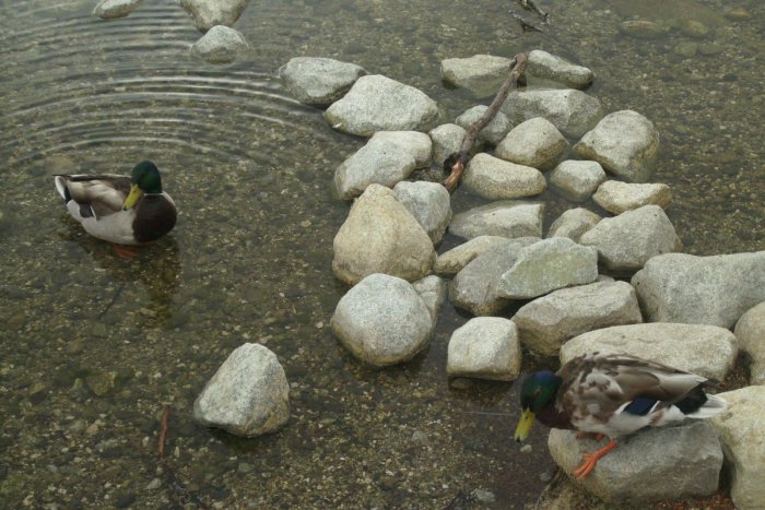 Ilustračný obrázok k článku Horúci august láka von: Užite si skvelé akcie!