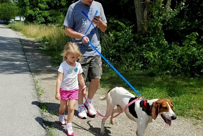 Ilustračný obrázok k článku Košov pre psíčkarov je viac: Sú aj v nových lokalitách