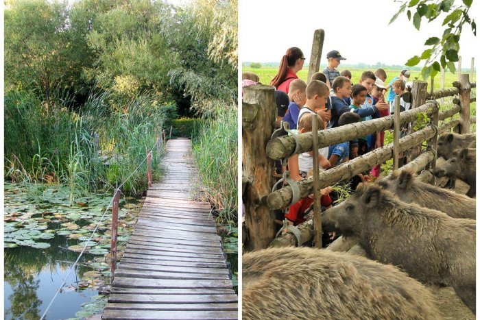 Ilustračný obrázok k článku Tip na výlet: Oddýchnite si a načerpajte novú energiu v Ekoparku neďaleko Bratislavy