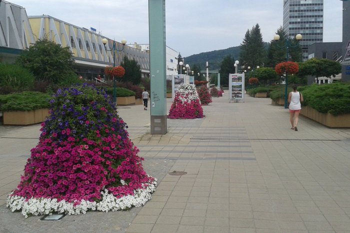 Ilustračný obrázok k článku 5 najpútavejších správ týždňa: Týmto najviac žila Považská a okolie