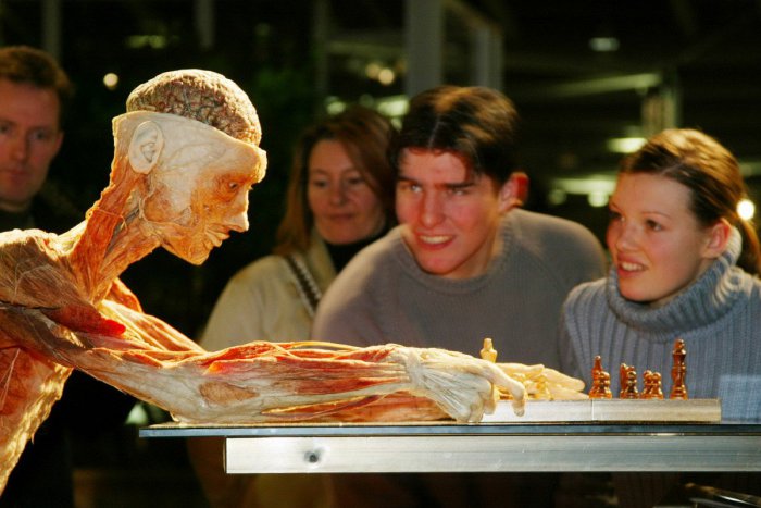 Ilustračný obrázok k článku Výstava mŕtvych tiel neporušuje podľa hygienikov zákon o pohrebníctve