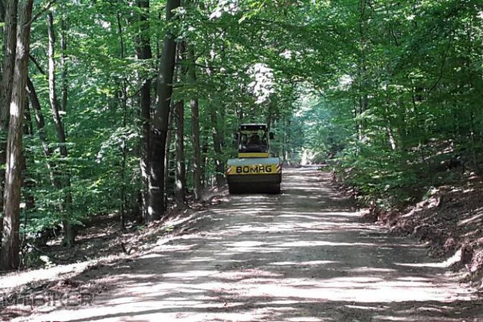 Ilustračný obrázok k článku Aktivisti upozorňujú na necitlivé rozširovanie cesty v bratislavskom lesoparku