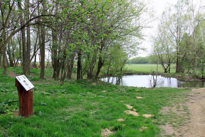 Ilustračný obrázok k článku Pikošky z okolia Nitry: V tejto obci trávili voľný čas spisovatelia, herci i maliari