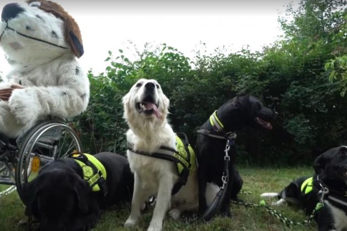 Ilustračný obrázok k článku Mladík sa vydal pešo z Čiech do Nitry: Pre dobrú vec prejde cez 500 kilometrov, VIDEO