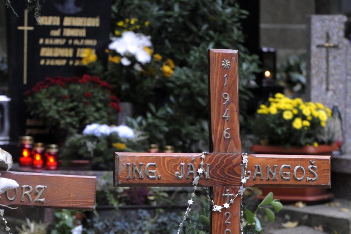 Ilustračný obrázok k článku Urnový háj krematória je pre stav drevín až do odvolania uzatvorený