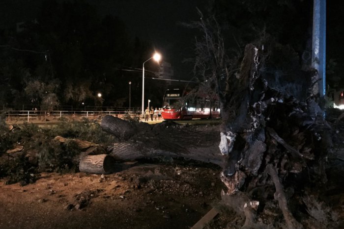 Ilustračný obrázok k článku Bratislavou sa prehnala veterná spúšť: Popadané stromy, zničené autá aj kolabujúca doprava