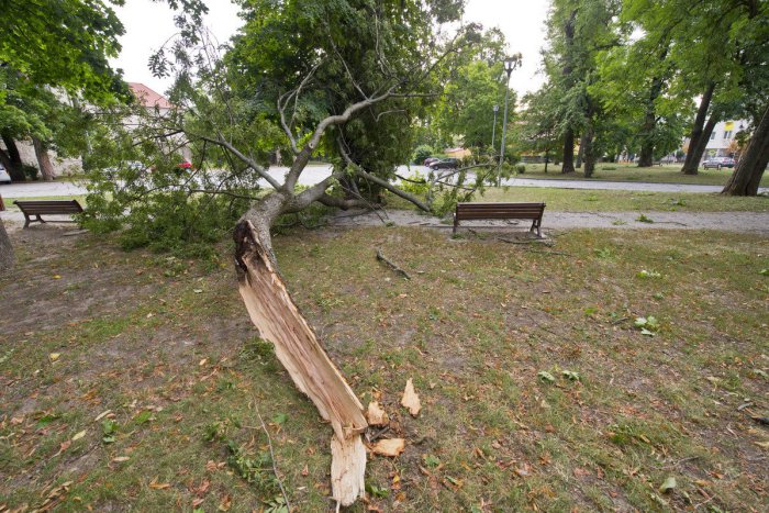 Ilustračný obrázok k článku RADÍME: Škodu spôsobenú vyčíňaním počasia treba bezodkladne nahlásiť poisťovni