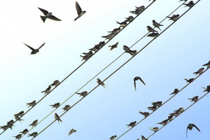 Ilustračný obrázok k článku RANNÁ ŠTVORKA: Vo štvrtok bude slnečno, teploty vystúpia do 26 stupňov