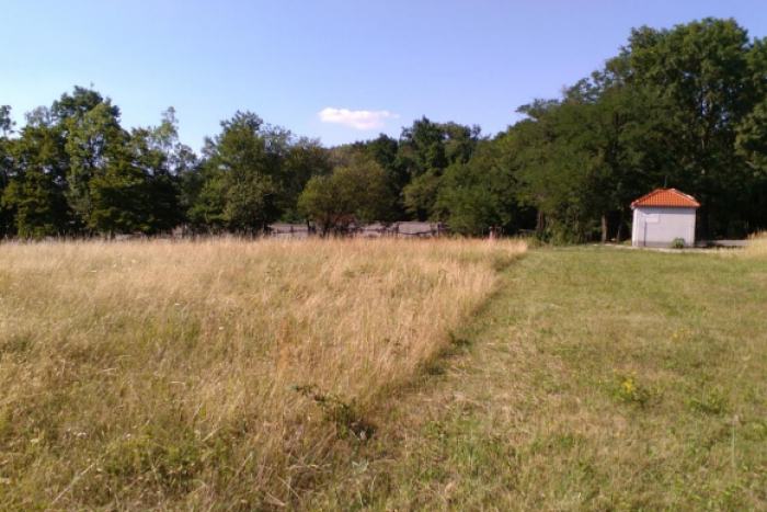 Ilustračný obrázok k článku Na Záhorí by mal vyrásť komplex rekreačných domov s ihriskami - Lake Relax Lozorno