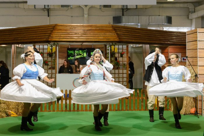 Ilustračný obrázok k článku Nitrianske výstavisko otvorí svoje brány: PROGRAM Agrokomplexu