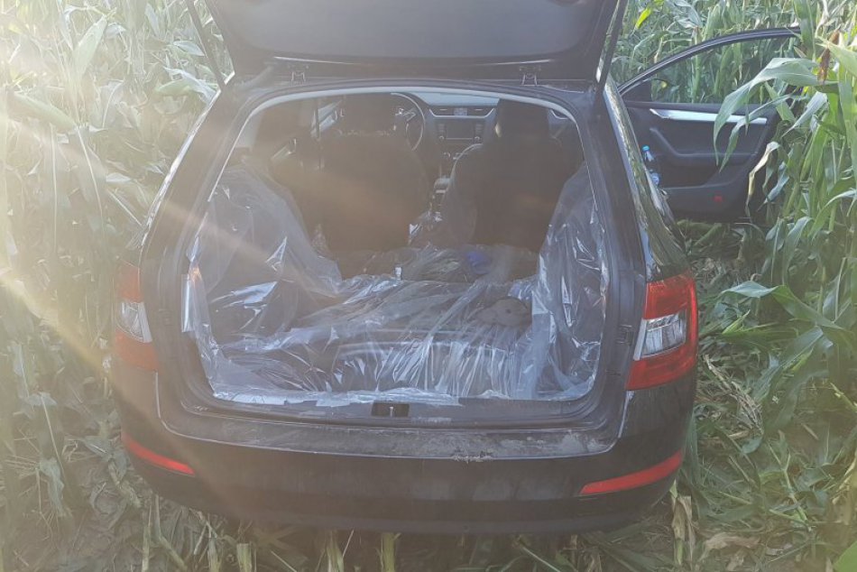 Ilustračný obrázok k článku Muži zákona v akcii: Policajti prenasledovali Škodu Octavia!