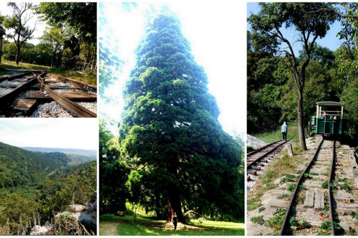 Ilustračný obrázok k článku Keď sa merať cestu oplatí: 3 veľké lákadlá dedín neďaleko Trnavy, ktoré vás dostanú