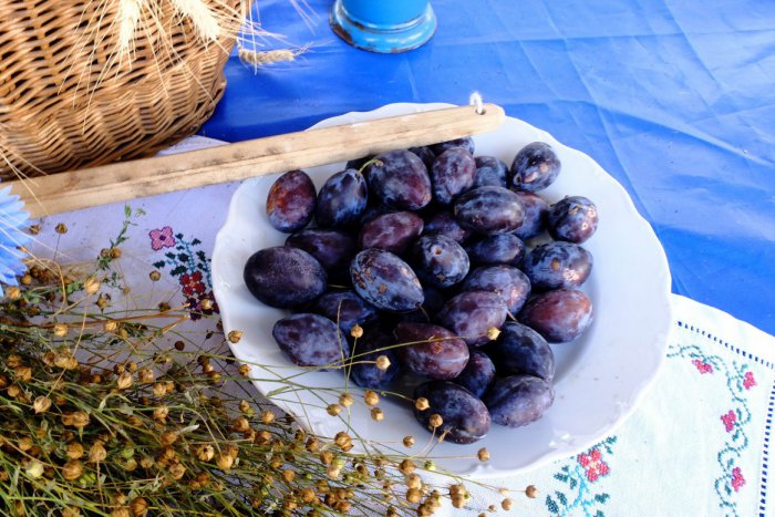 Ilustračný obrázok k článku Sezóna sliviek je tu! Máme pre vás niekoľko dôvodov, prečo ich neprestať jesť