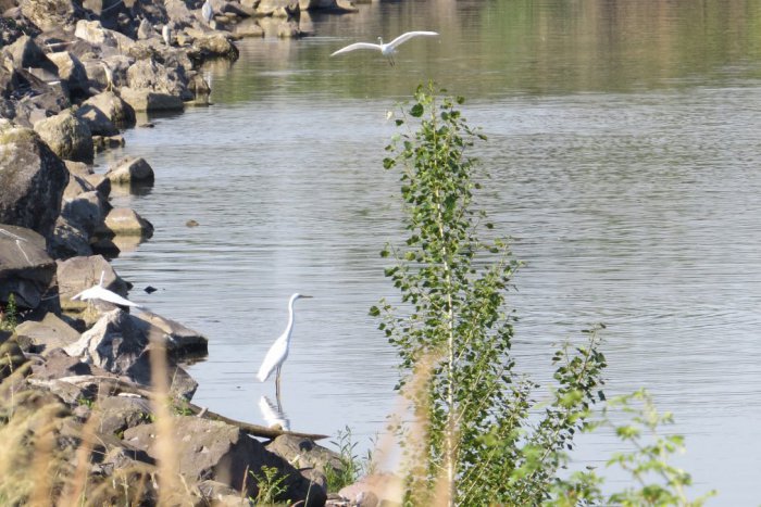 Ilustračný obrázok k článku Šírava má čo ponúknuť aj na druhej strane brehu: Na ľudí tam čakajú malebné výjavy, FOTO