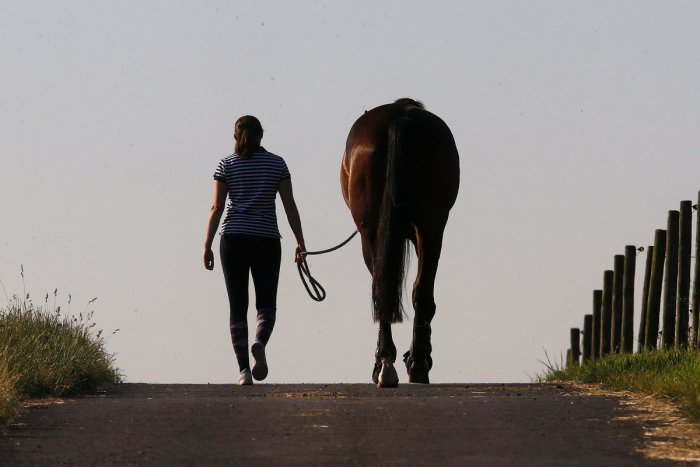 Ilustračný obrázok k článku RANNÁ ŠTVORKA: August sa s nami lúči slnkom zaliatym dňom, meniny má Nora