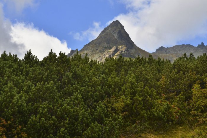 Ilustračný obrázok k článku RANNÁ ŠTVORKA: Pripomíname si 25 rokov Ústavy SR