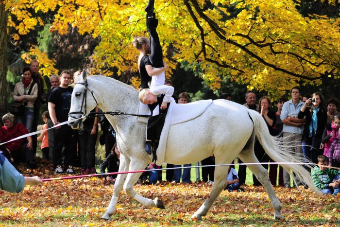 Ilustračný obrázok k článku Šalianski voltižéri bodovali: Priviezli aj cenné medaily